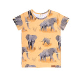 T-shirt de algodão (orgânico)